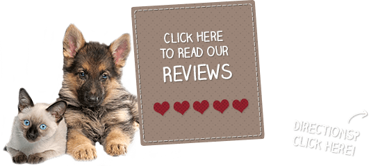 Click here to read our reviews