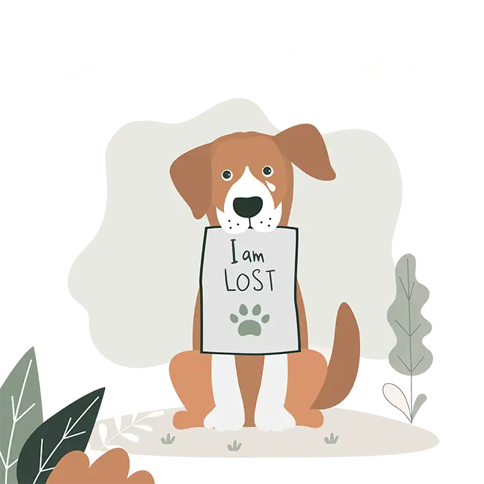 404 error